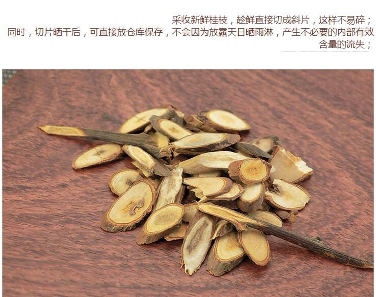 桂枝5.jpg