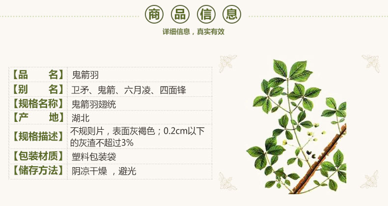 E9ACBCE7AEADE7BEBDE7BF85E7BB9FE8B4A75F30322E6A7067.jpg