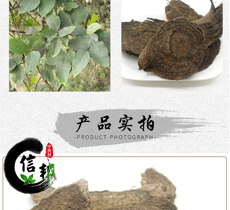 黑血藤详情_03.jpg