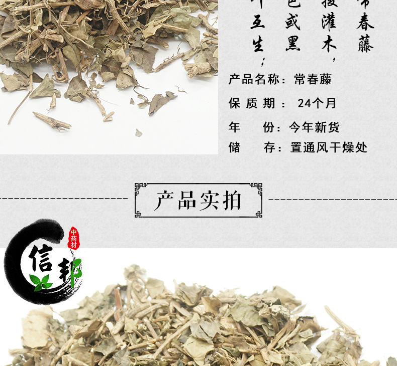常春藤详情_03.jpg
