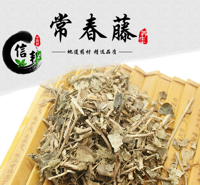 常春藤详情_01.jpg