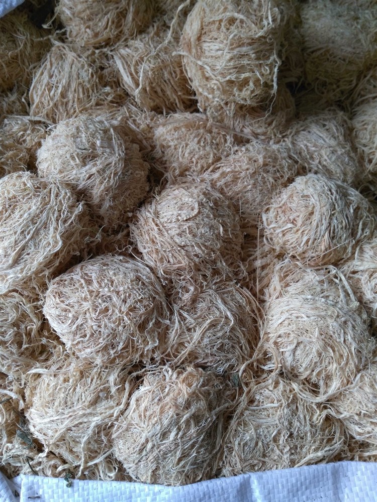 竹茹球 (1).jpg