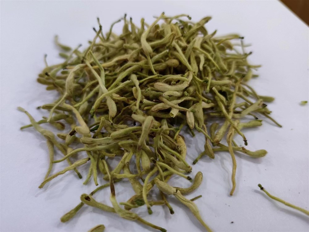 金银花200.jpg