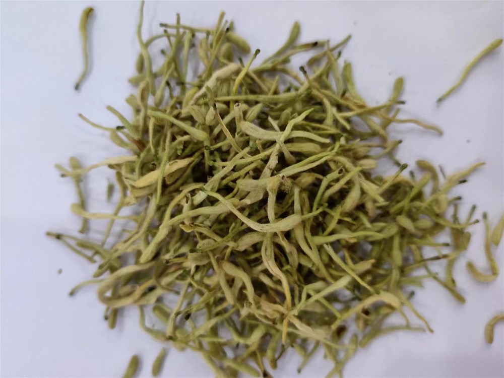 金银花.jpg