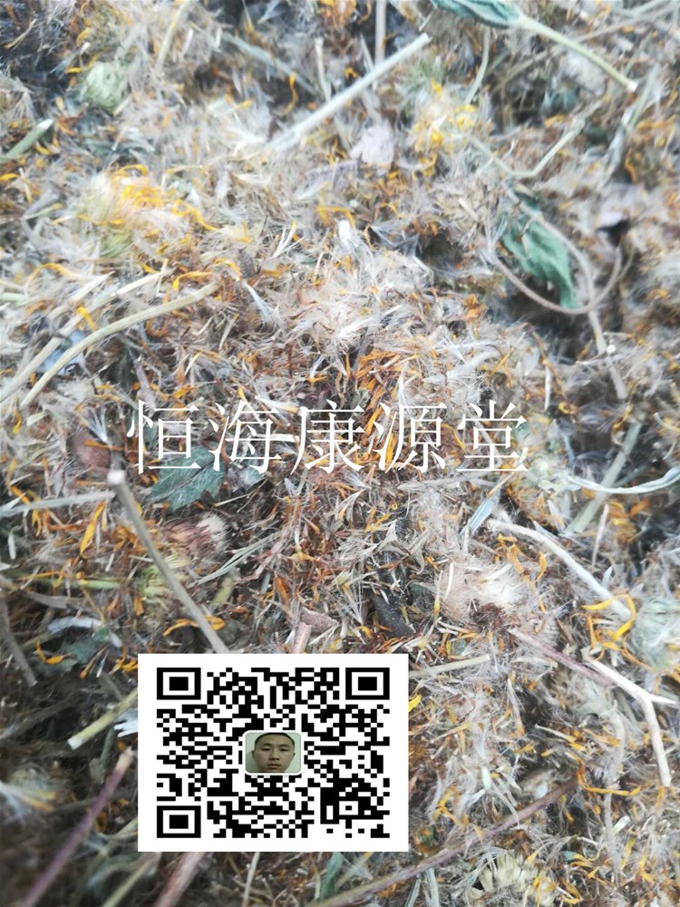 【品 名】 旋复花1_副本.jpg