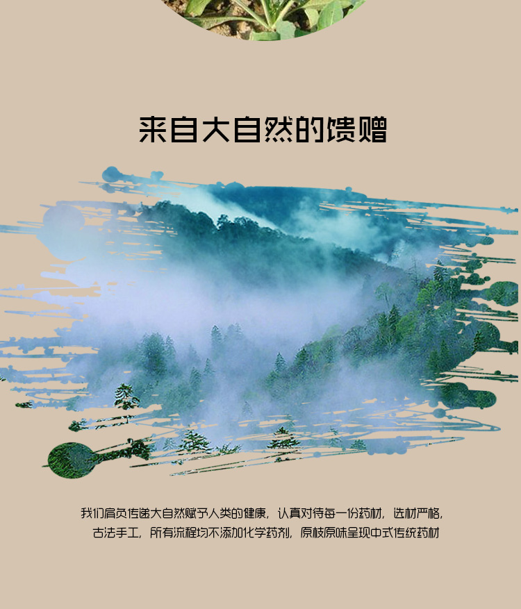 大青叶详情页_09.jpg