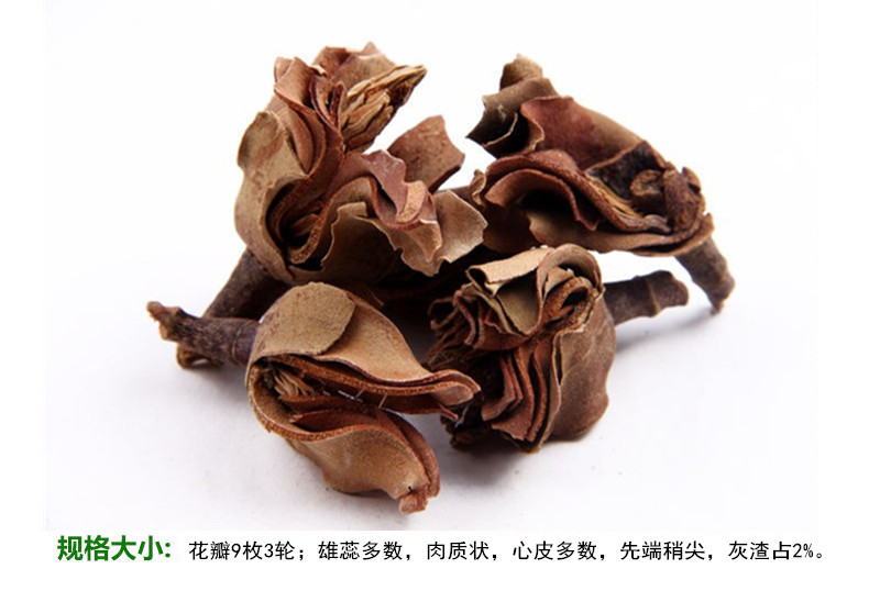 厚朴花6.jpg