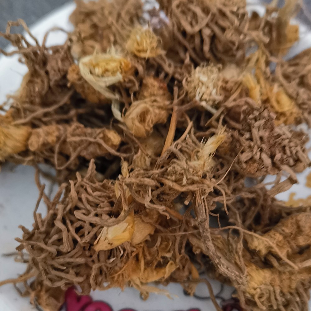 韭菜根7_副本.jpg