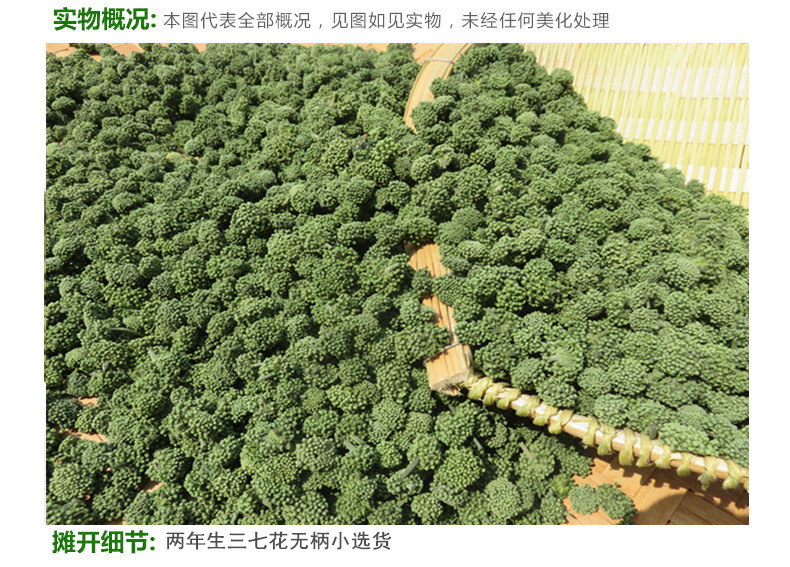 两年生三七花无柄小选货4.jpg
