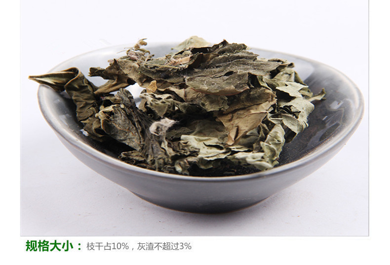梧桐5.jpg
