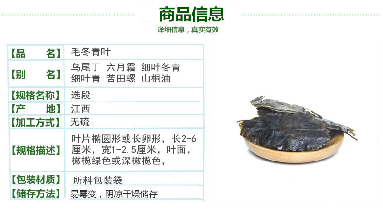 毛冬青2.jpg