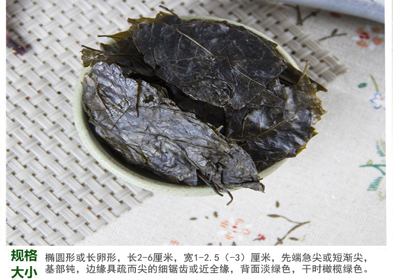 毛冬青5.jpg
