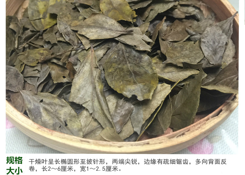 南烛叶5.jpg
