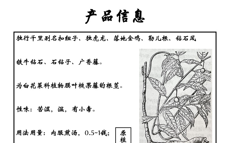 E78BACE8A18CE58D83E9878C5F30322E6A7067.jpg