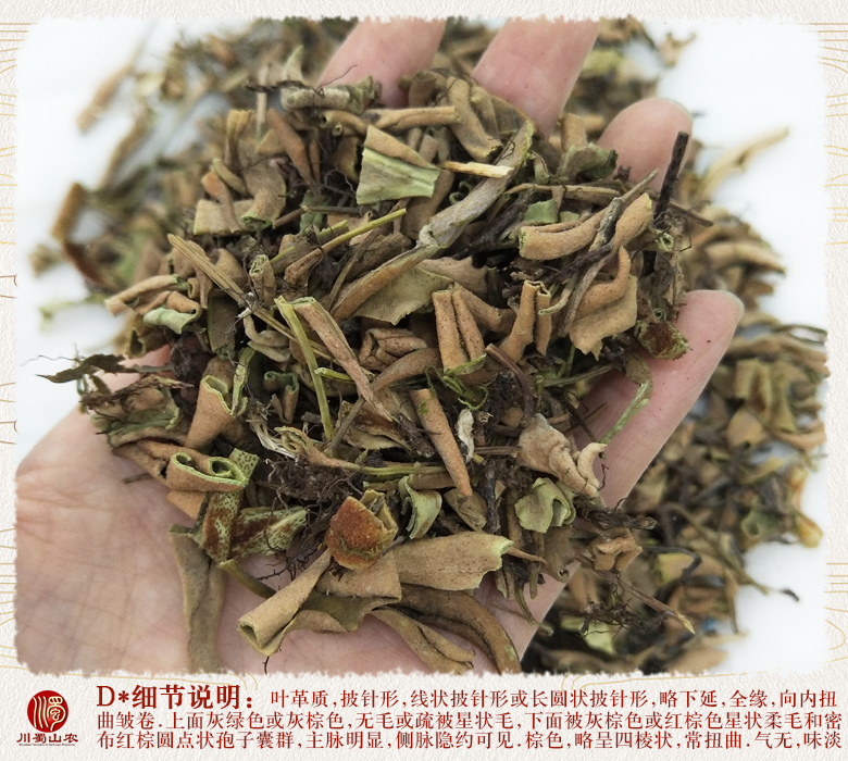 cstcssnshiyexiaoyetonghuo011.jpg