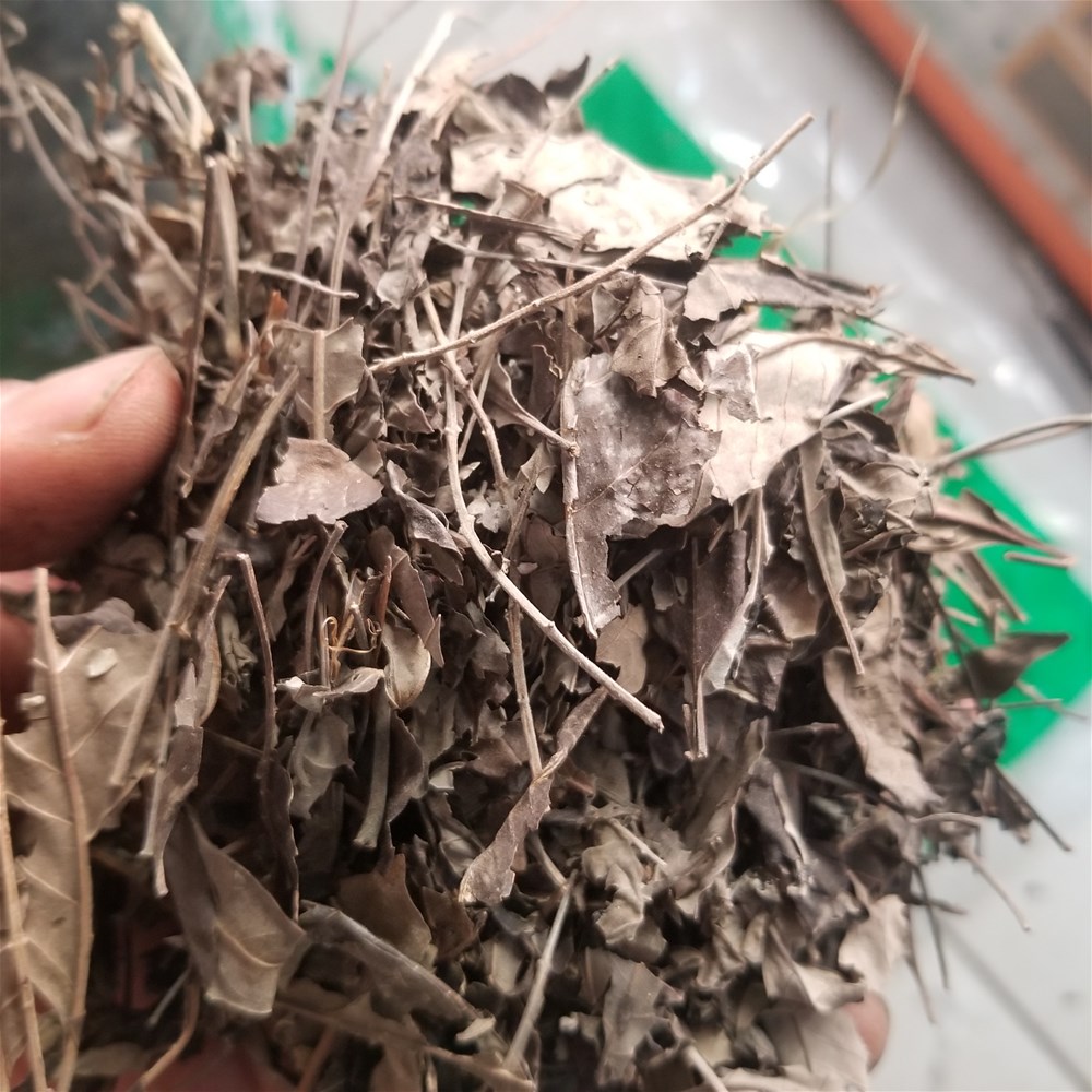 20190327_150823.jpg