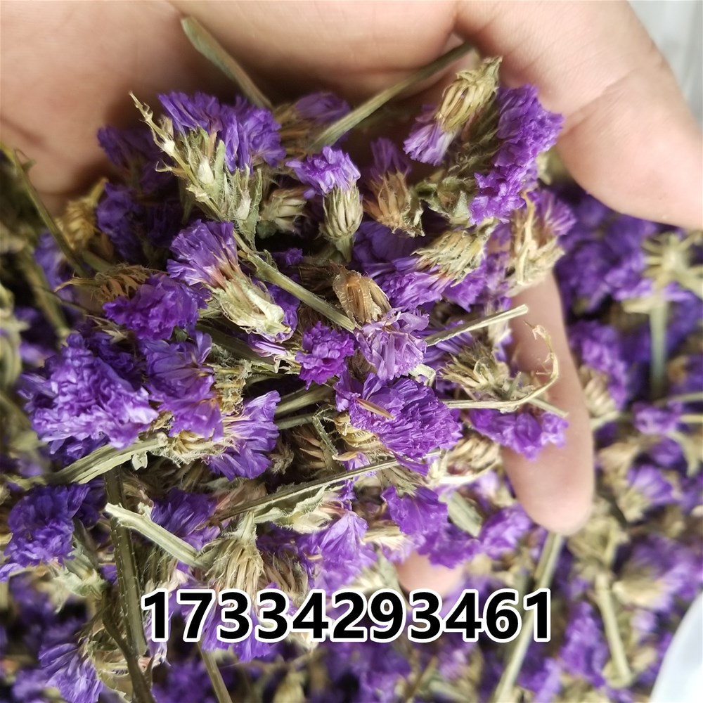 20190312_170859.jpg