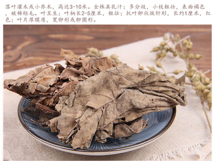 无花果叶4.jpg