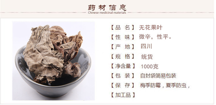 无花果叶1.jpg