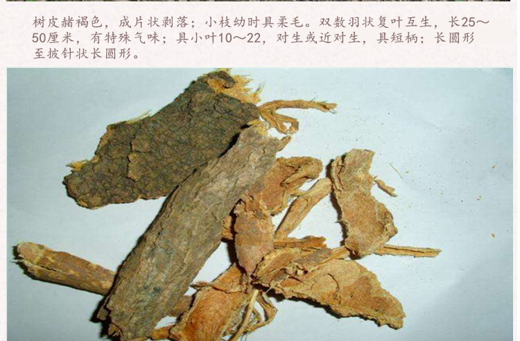 椿树皮3.jpg