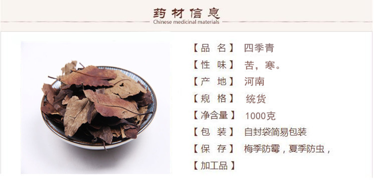 四季青1.jpg