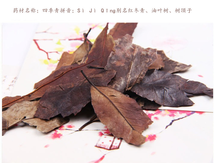 四季青3.jpg