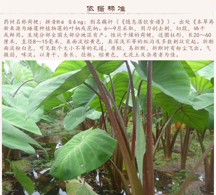 荷梗9.jpg