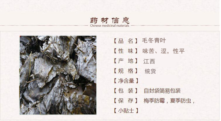 毛叶1.jpg