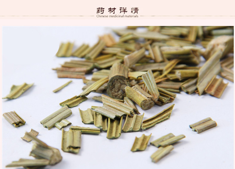 铁树叶2.jpg