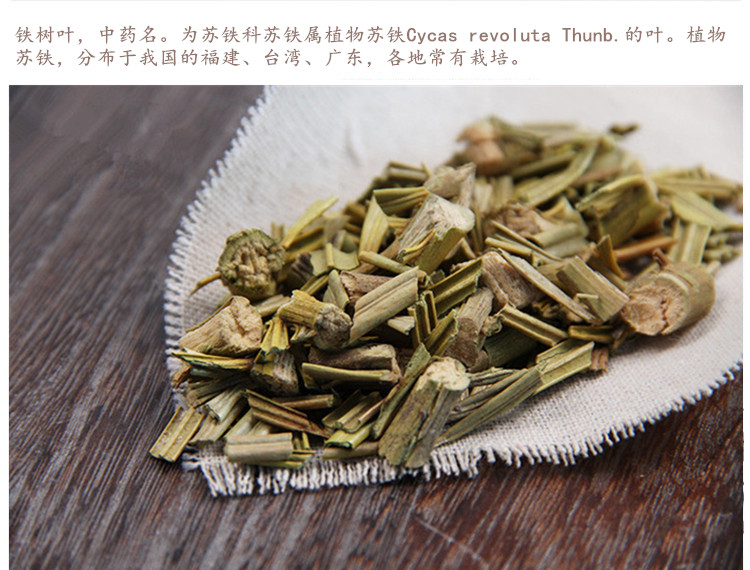 铁树叶3.jpg