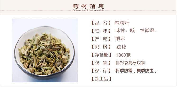 铁树叶1.jpg