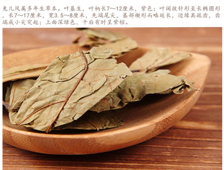 布渣叶3.jpg