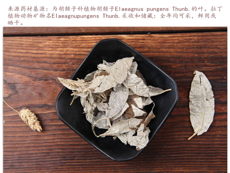 胡秃子叶4.jpg
