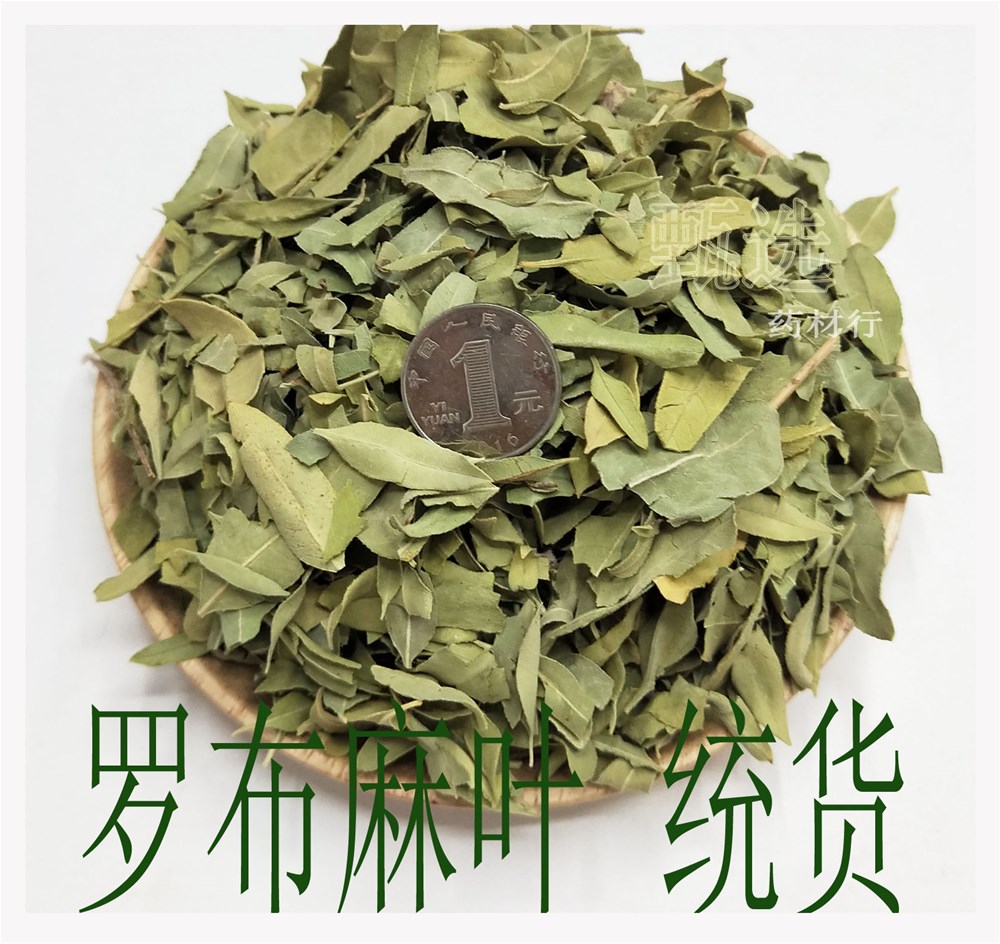 罗布麻叶水印1.jpg