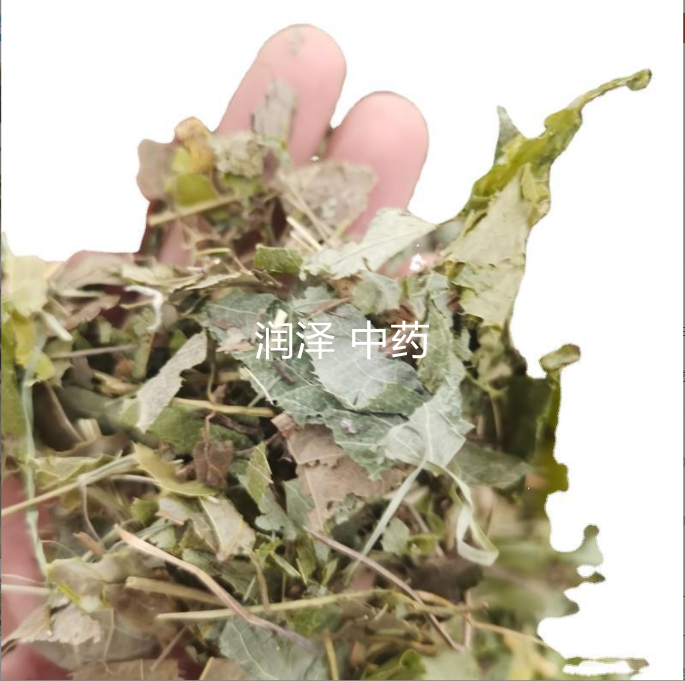 360截图17891224111141119.png
