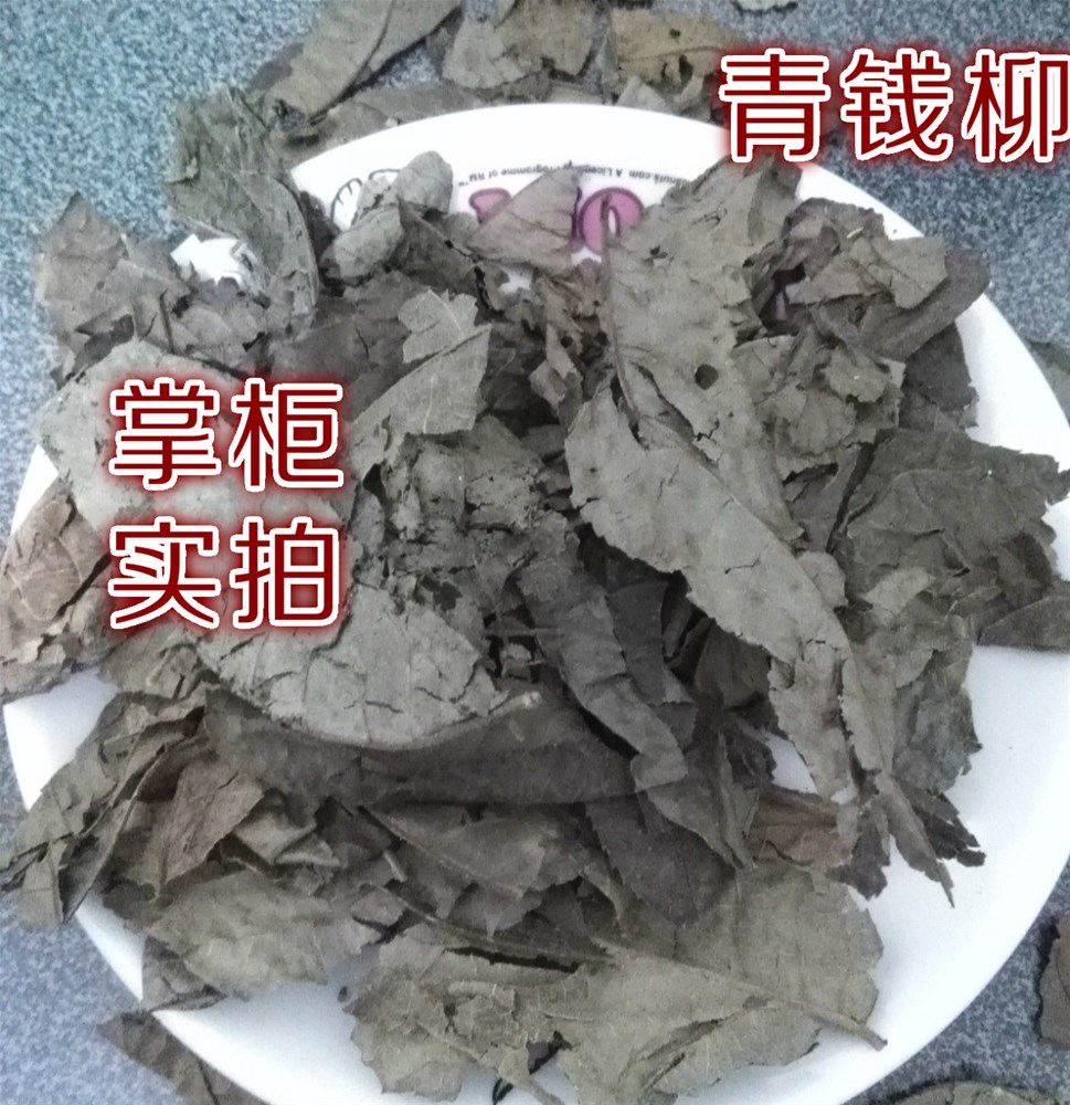 青钱柳2_meitu_2.jpg