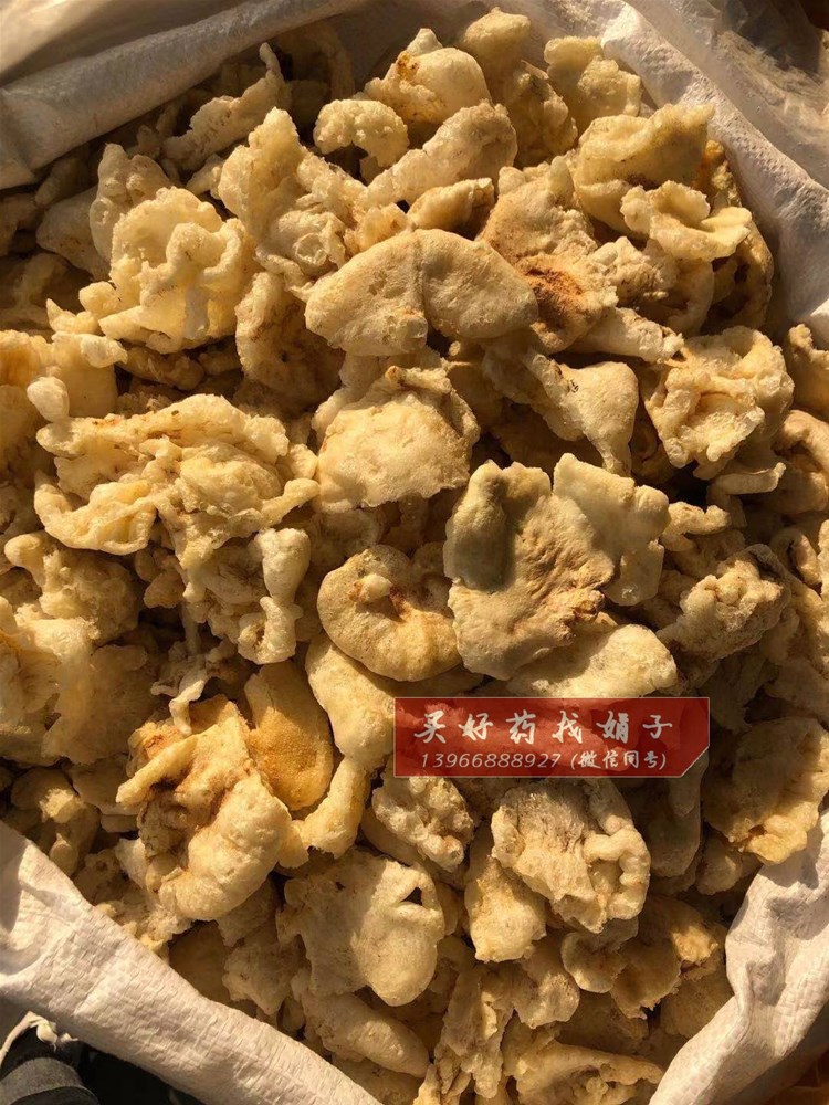 沙烫鱼鳔 100  ).jpg