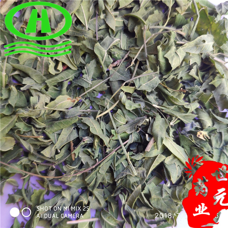 罗布麻药用24吕屋~07_副本.jpg