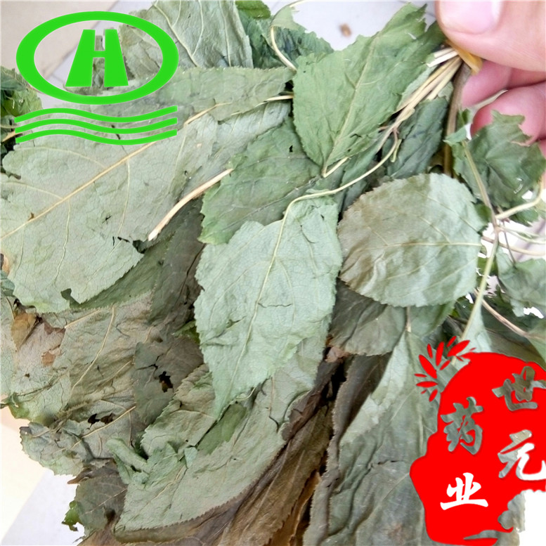 人参叶80奇_副本.jpg