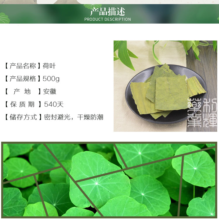 荷叶_02.jpg