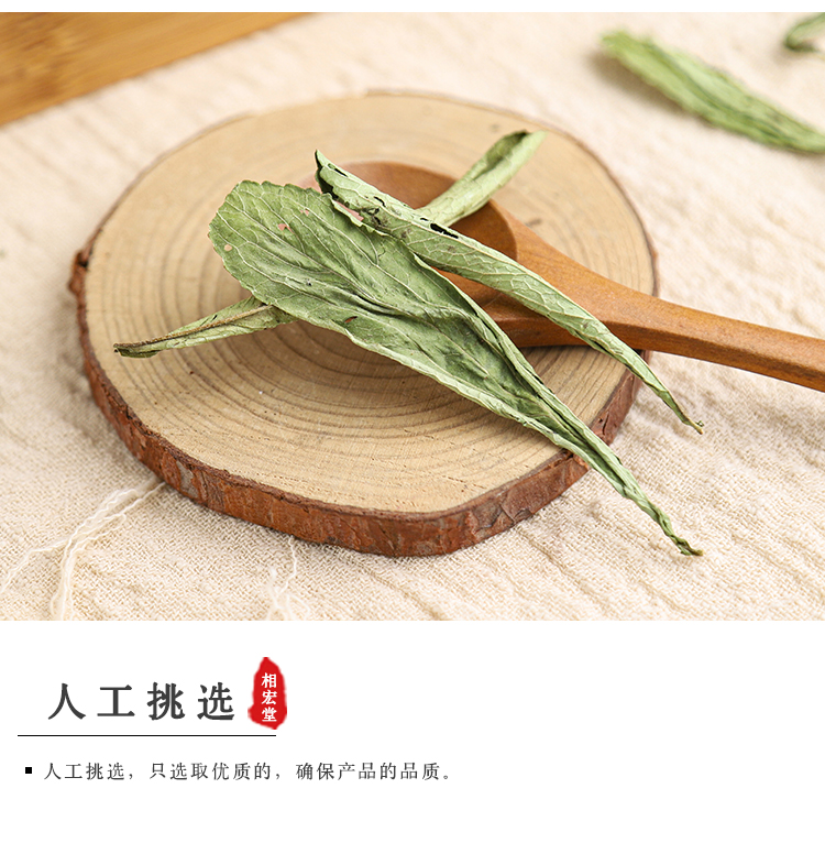 甜叶菊_04.jpg