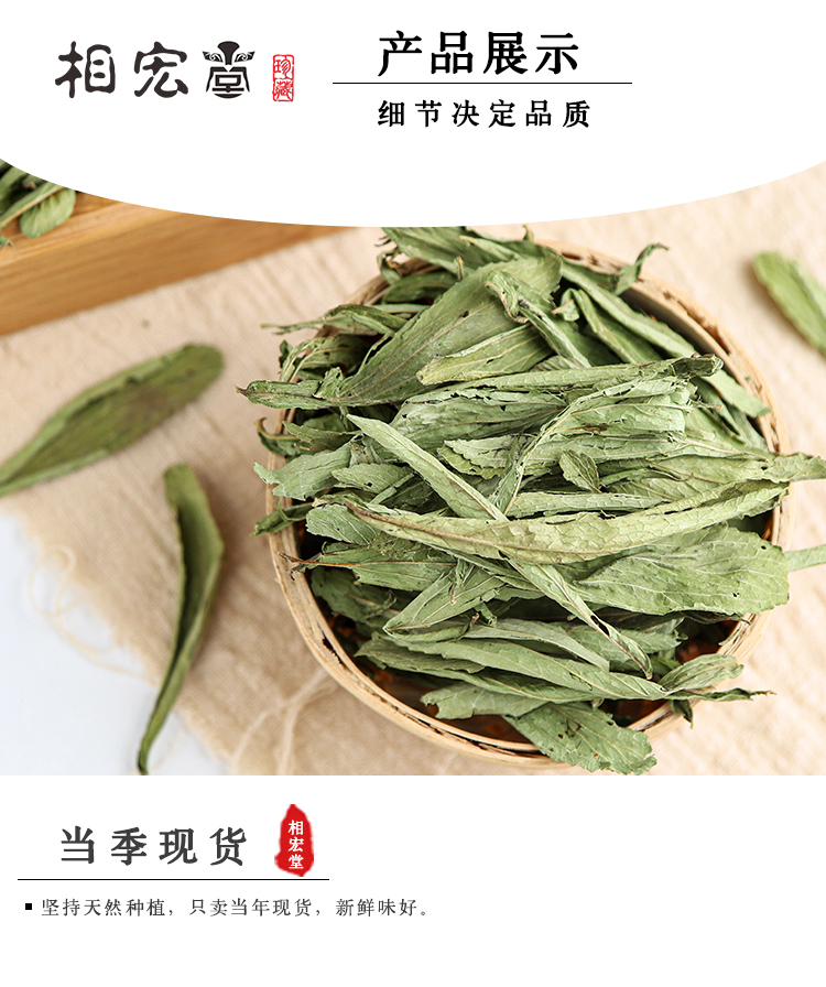 甜叶菊_03.jpg
