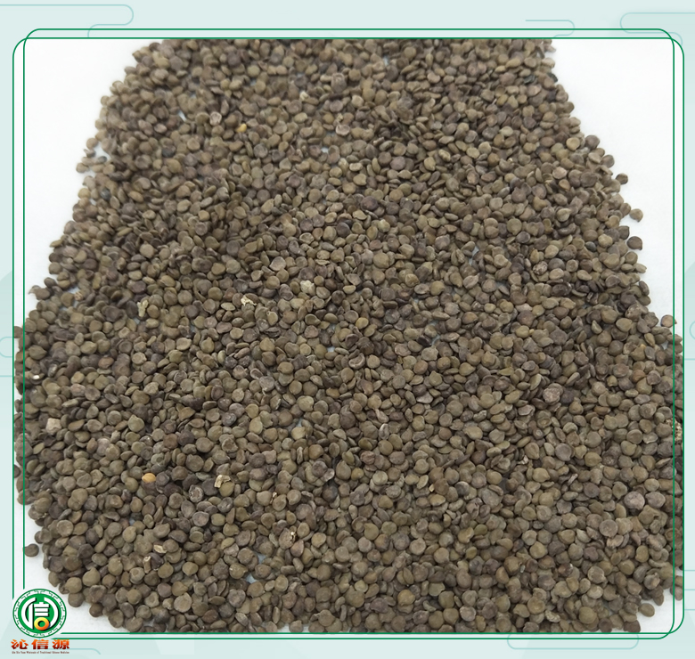 wangjiangnanxuan010.jpg