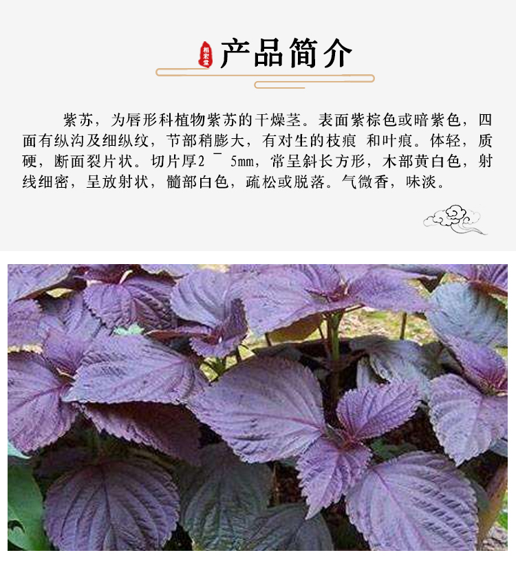 好紫苏叶7.jpg