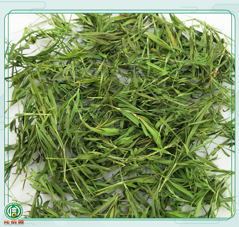 shizhuchachayong010.jpg