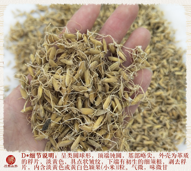 cstcssnguyashenghuo011.jpg