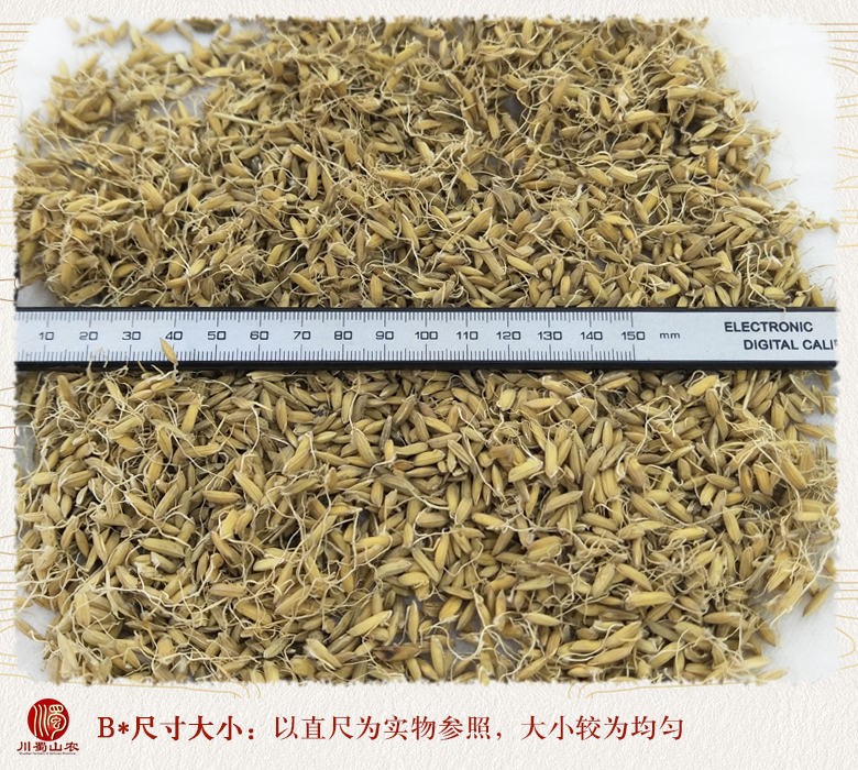 cstcssnguyashenghuo09.jpg
