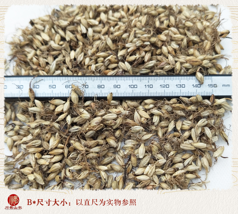 cstcssnmayachaohuo011.jpg