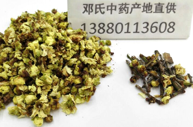 baimeihua012.jpg