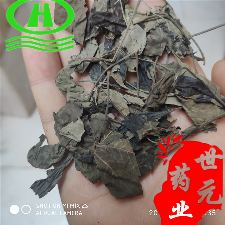 木豆叶8云~04_副本.jpg